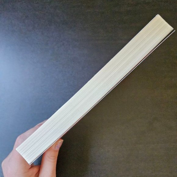 4/$20 Because They Hate: A Survivor of Islamic Terror‎ Warns America - Paperback - Picture 4 of 5